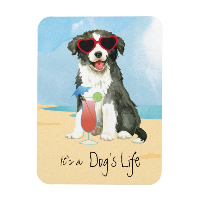 Flexible Bordure d'été Collie Magnet (Vertical)