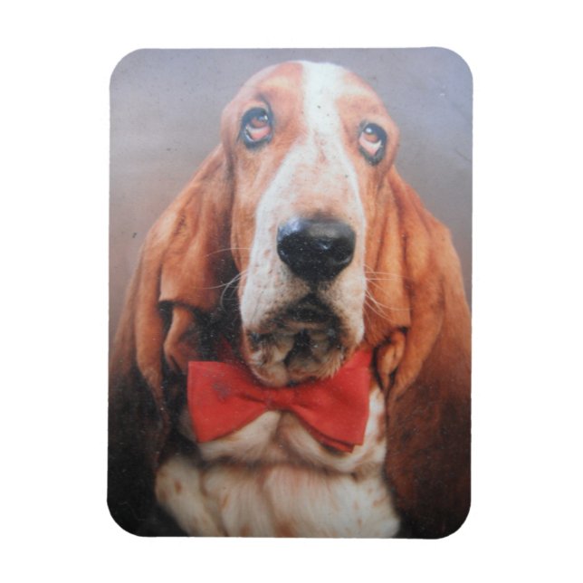 Flexible Bouteille Magnet Premium Hound Dans Cravate Bow Ro (Vertical)