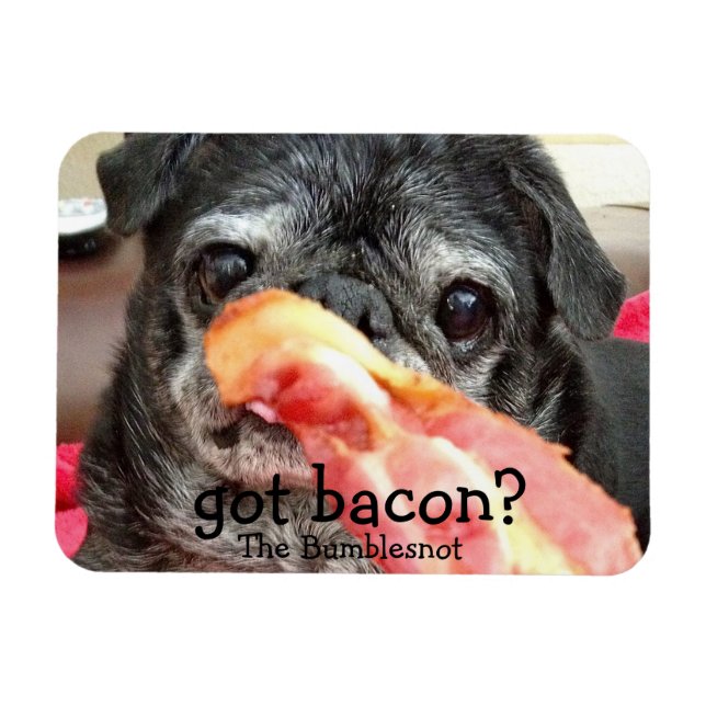 Flexible Bumblesnot Magnet : du bacon ? (Horizontal)