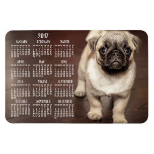 Flexible Calendrier Chien 2017 Photo Grand Magnet 4x6