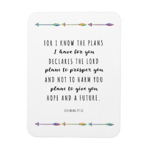 Flexible Car je connais les plans que j'ai pour vous Magnet