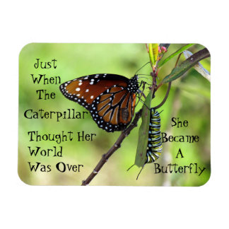 Flexible Caterpillar / Butterfly Quote Magnet