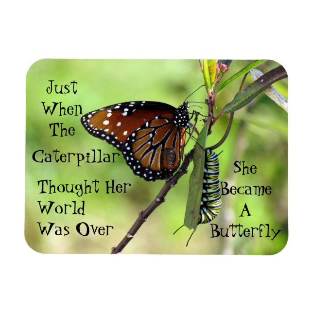 Flexible Caterpillar / Butterfly Quote Magnet (Horizontal)