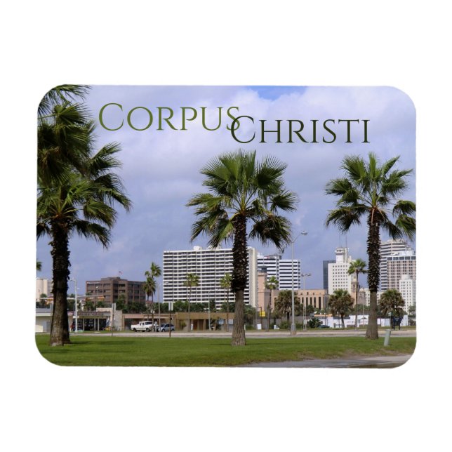 Flexible Centre-ville Corpus Christi Texas Souvenir Magnet (Horizontal)