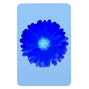 Flexible Cool Blue Marigold Premium Magnet