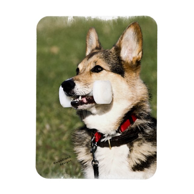 Flexible Corgi Magnet (Vertical)