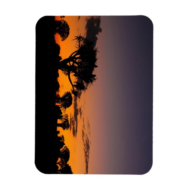 Flexible Coucher de soleil en Namibie Magnet (Vertical)