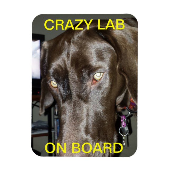 Flexible Crazy Lab Sur Le Magnet De Bord (Vertical)