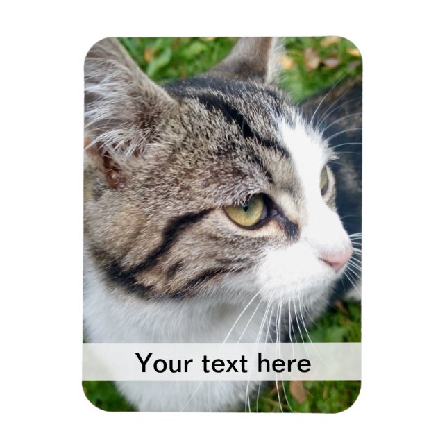 Flexible Custom photo magnet | Upload your image here (Vertical)