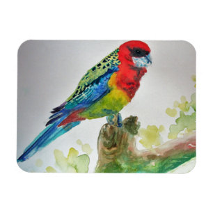 Flexible Cute Rosella Parrois oiseau Aquarelle Magnet d'art