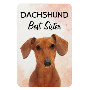 Flexible Dachshund Best Sister Magnet