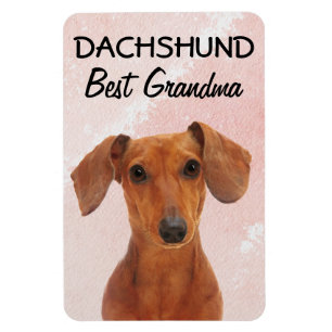 Flexible Dachshund Magnet de grand-mère