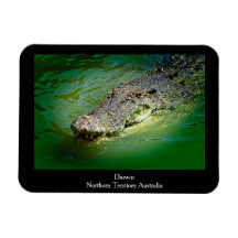 Darwin Territoire du Nord - Magnet de crocodile