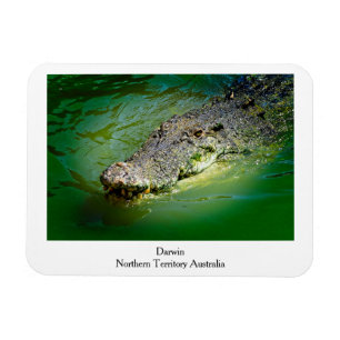 Flexible Darwin Territoire du Nord - Magnet de crocodile