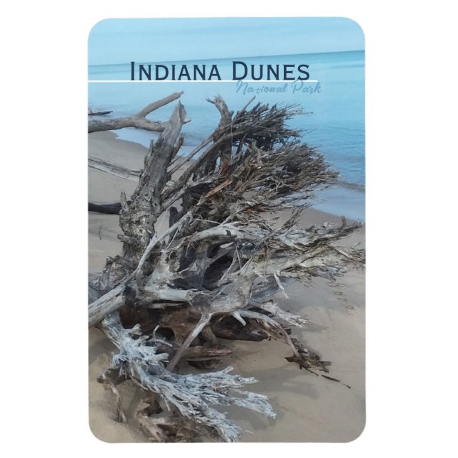 Flexible Driftwood Indiana Dunes National Park Magnet (Vertical)