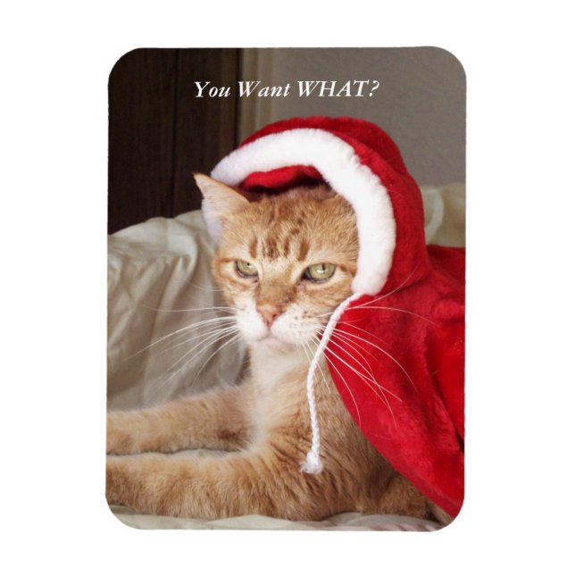 Flexible Drôle Grumpy Chat Christmas Magnet Humoristique (Vertical)