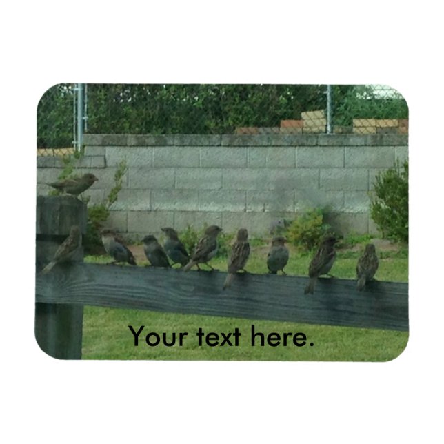 Flexible Éperons Oiseaux assis sur un Magnet ferroviaire (Horizontal)