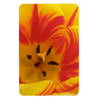 Flexible Fiery Tulip Premium Magnet