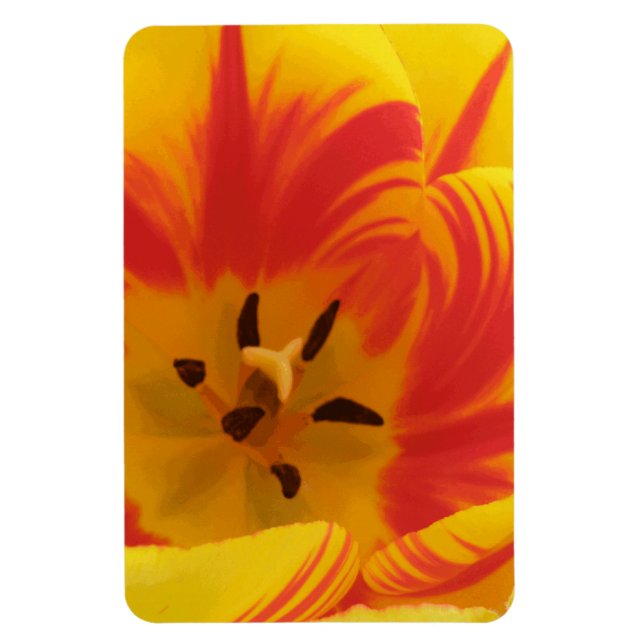 Flexible Fiery Tulip Premium Magnet (Vertical)