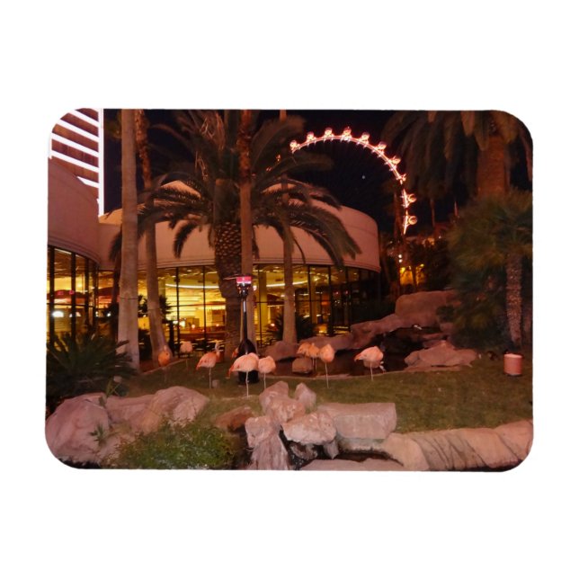 Flexible Flamants roses, Las Vegas Photo Magnet (Horizontal)