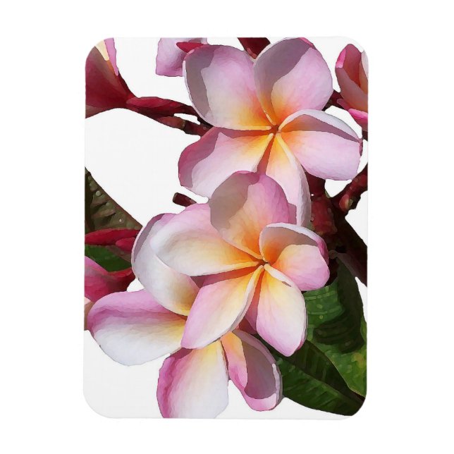 Flexible Fleurs Plumeria Magnet Premium (Vertical)