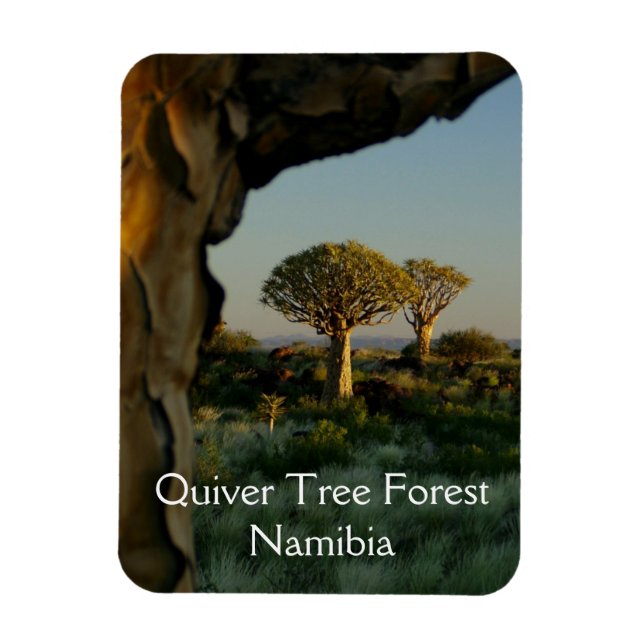 Flexible Forêt de quiver, Magnet de Namibie (Vertical)