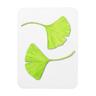 Flexible Ginkgo Feuille Flexi Magnet
