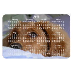 Flexible Golden Retriever Calendar 2017 Grand Magnet photo