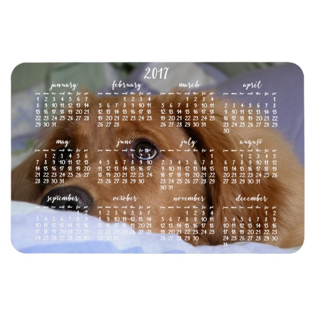 Flexible Golden Retriever Calendar 2017 Grand Magnet photo (Horizontal)