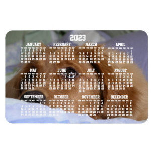 Flexible Golden Retriever Calendar 2023 Grand Magnet photo