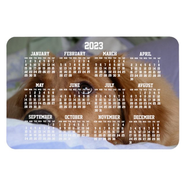 Flexible Golden Retriever Calendar 2023 Grand Magnet photo (Horizontal)