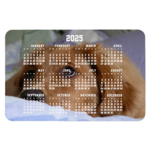 Flexible Golden Retriever Calendar 2025 Grand Magnet photo