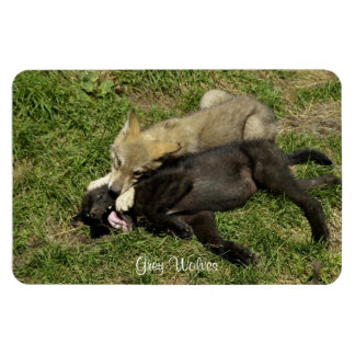 Flexible Gros loup gris Magnet de la faune