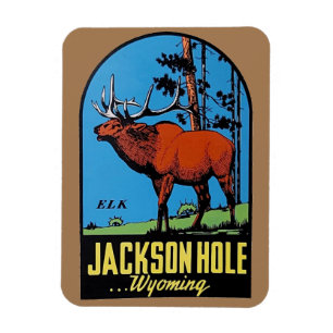 Flexible Jackson Hole, Wyoming Magnet