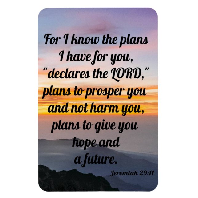Flexible Jeremiah 29:11, Refrigerator Magnet (Vertical)