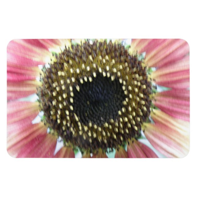 Flexible Joli Tournesol rose Magnet Premium (Horizontal)