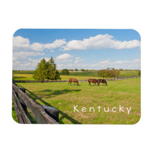 Flexible Kentucky, chevaux à la ferme à cheval Photo Magnet