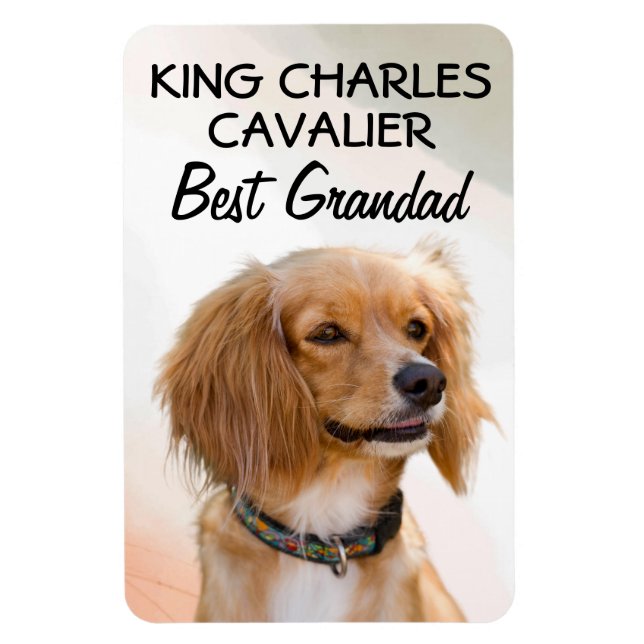 Flexible King Charles Cavalier Best Grand Magnet (Vertical)