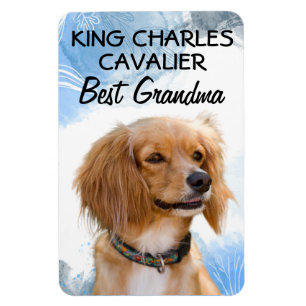 Flexible King Charles Cavalier Meilleur grand-mère Magnet
