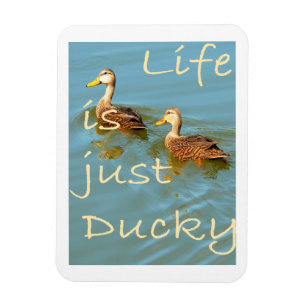 Flexible La vie est juste Ducky Mottled Ducks Magnet