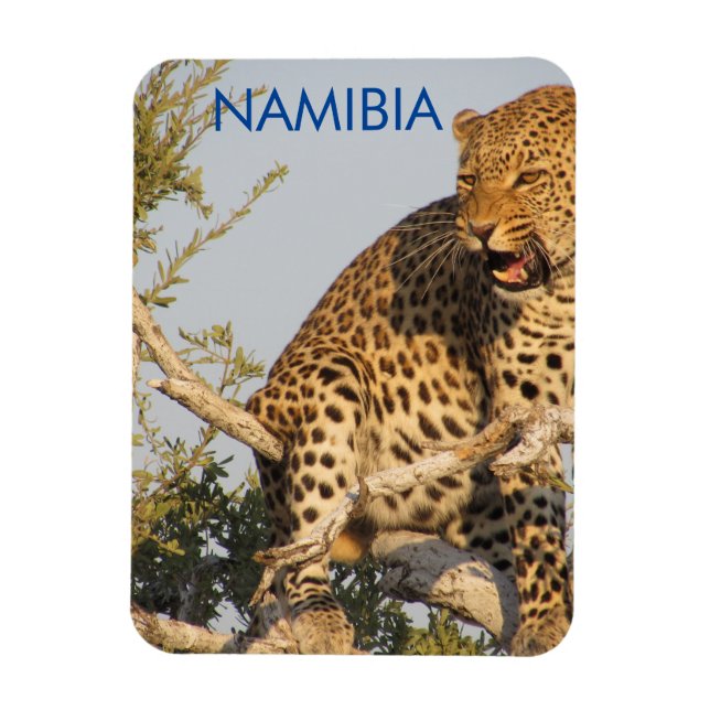 Flexible Leopard, Namibie Magnet (Vertical)