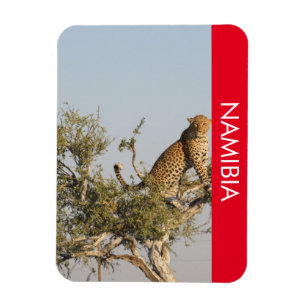 Flexible Leopard, Namibie Magnet