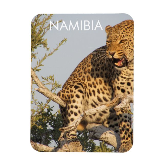 Flexible Leopard, Namibie Magnet (Vertical)