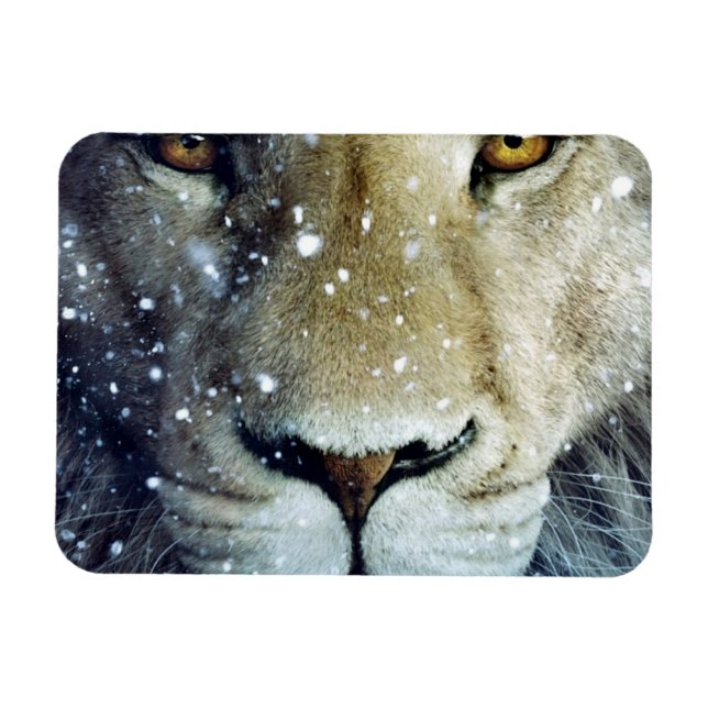 Flexible Lion of Judah - Rastafara - Reggae Rasta Magnet (Horizontal)