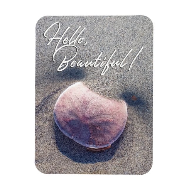 Flexible Live Sand Dollar Photo Bonjour Magnet (Vertical)
