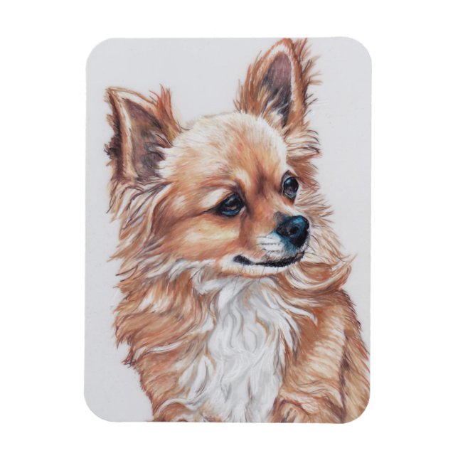 Flexible Long Haired Chihuahua Chig Magnet d'art (Vertical)