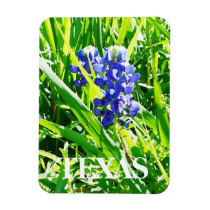 Flexible Magnet de bleuets texans