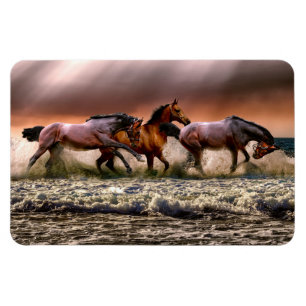 Flexible Magnet de chevaux