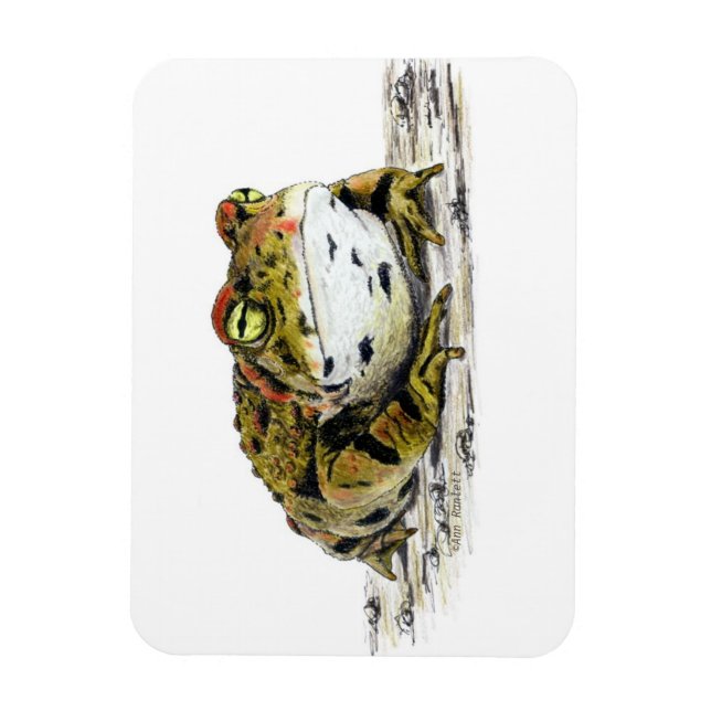 Flexible Magnet de crapaud de l'Ouest (Vertical)