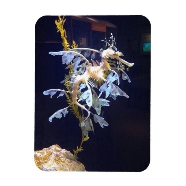 Flexible Magnet de dragon feuillus (Vertical)